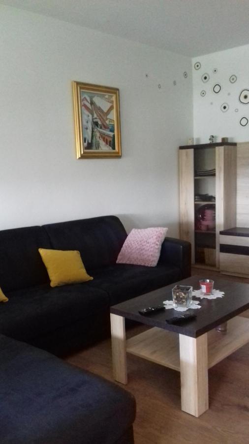 Apartman Lana ,Froudeova Ulica 3 Nasuprot Zg Velesajma Leilighet Zagreb Eksteriør bilde